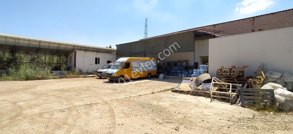 Business For Sale in Haspolat, Nicosia