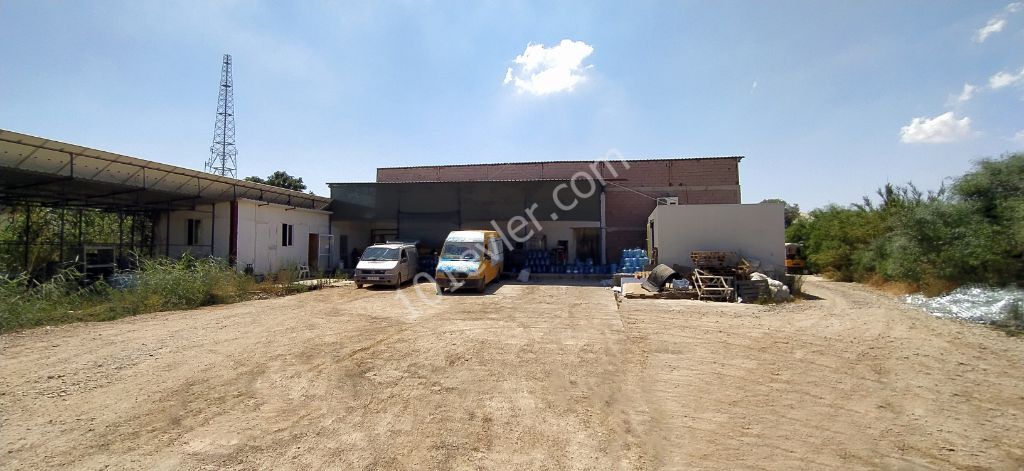 Business For Sale in Haspolat, Nicosia