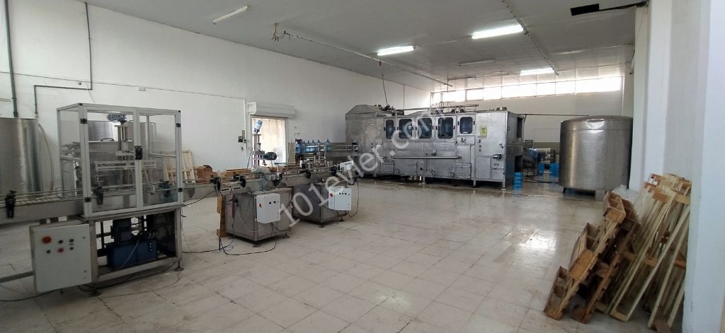 Business For Sale in Haspolat, Nicosia