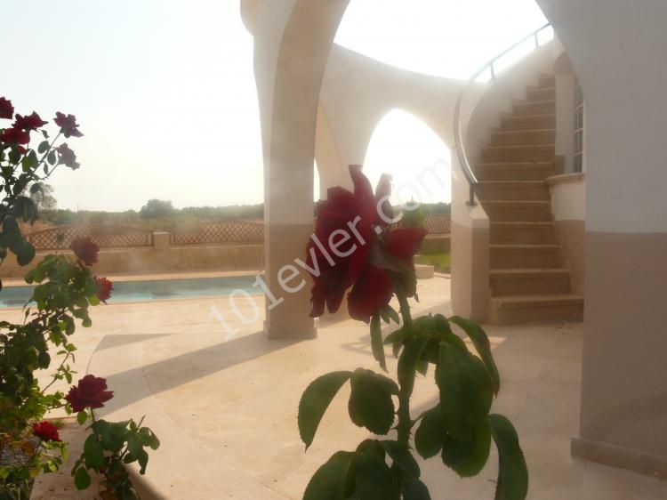 Luxury and high quality build 4 bedroom villa with private pool and  garden Title Deeds ready  