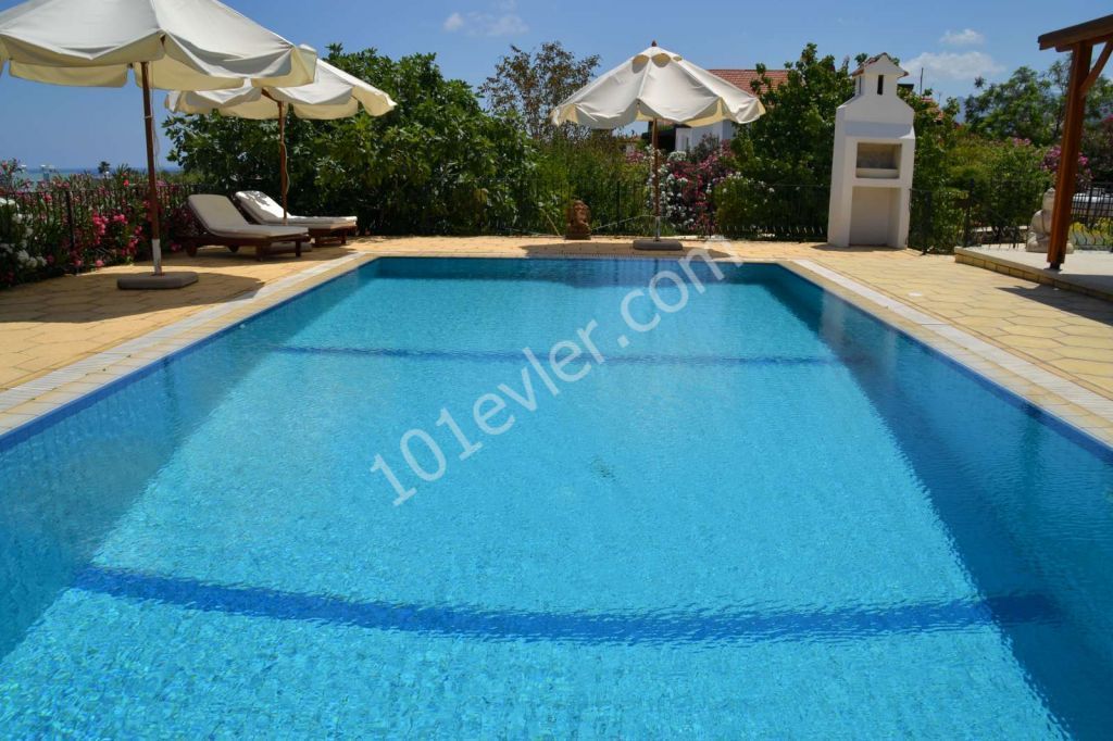 Nice Location in Lapta area stunning 4 bedroom villa with swimming pool and large plot 1 dönüm and panoramic views 