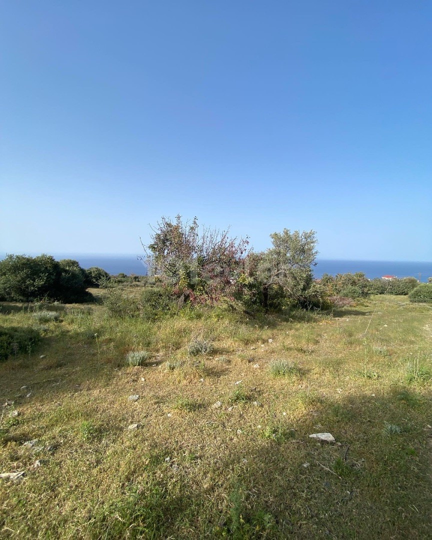 UNUBSTRACTED VIEW OF SEA AND MOUNTAIN ✔️Close to main road 