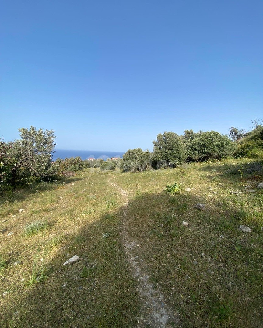 UNUBSTRACTED VIEW OF SEA AND MOUNTAIN ✔️Close to main road 