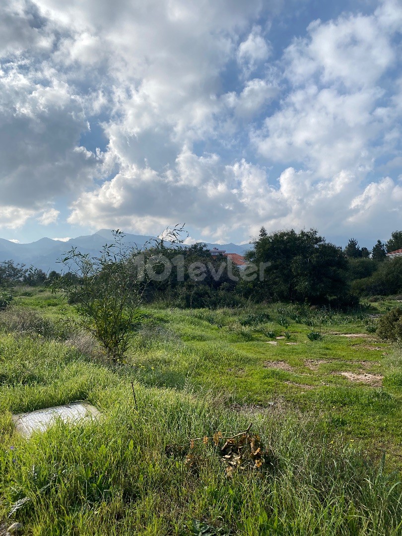 منطقه مسکونی برای فروش in Çatalköy, گیرنه