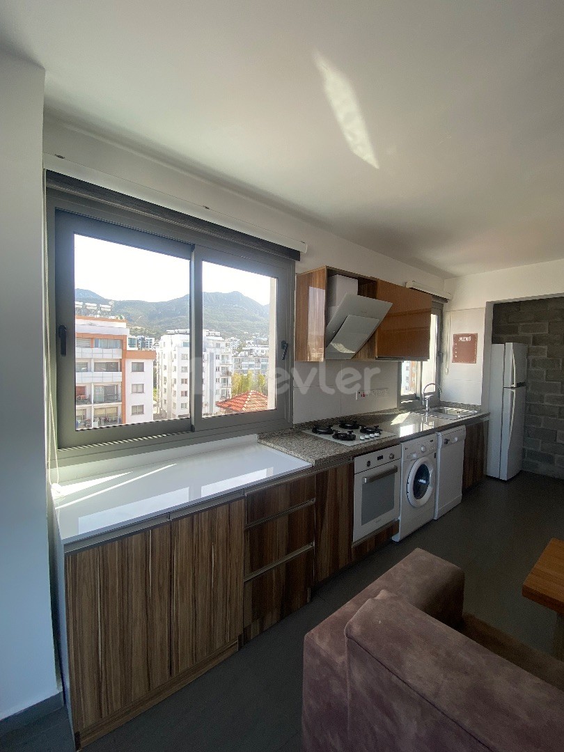 2+1 PENTHOUSE WITH LARGE TERRACE CLOSE TO LAVAS RESTAURANT 