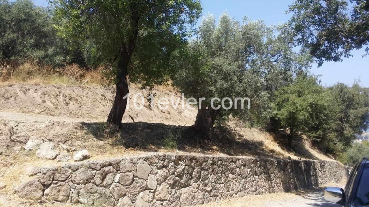 Residential Zoned Plot For Sale in Lapta, Kyrenia