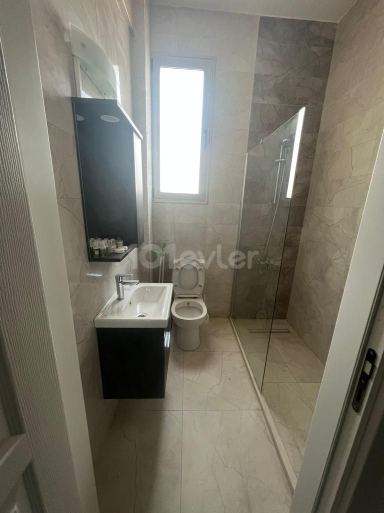 LUXURY 1+1 APARTMENT FOR RENT IN LEFKOŞA/SMALL KAYMAKLI