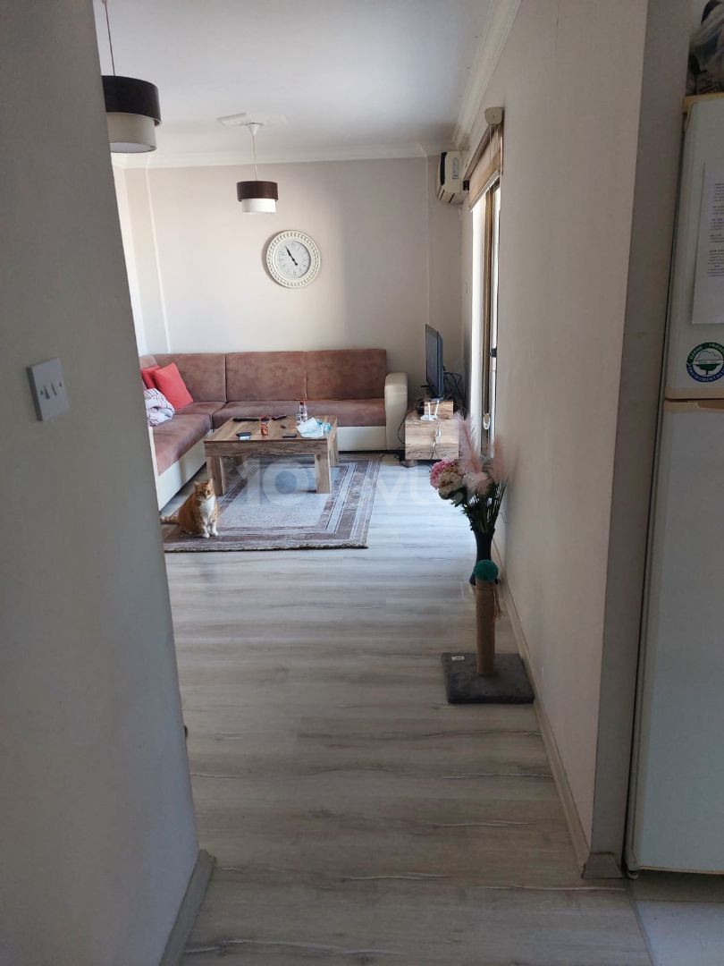 GİRNE KAŞGAR BÖLGESİNDE KİRALIK 1+1 EŞYALI DAİRE