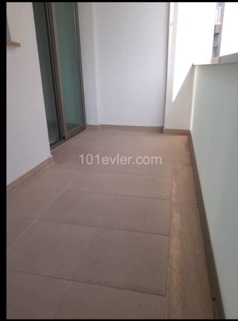 Urgent Sale new flat in Gonyeli ** 