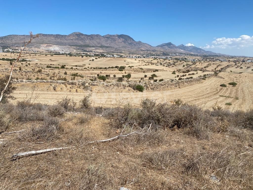 A field for sale in the Kyrenia Pinarbasi region ** 