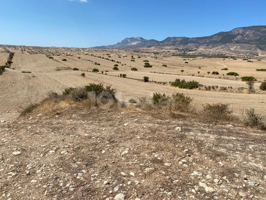 A field for sale in the Kyrenia Pinarbasi region ** 