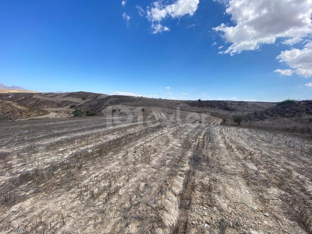 A Field for Sale in Yılmazköy ** 