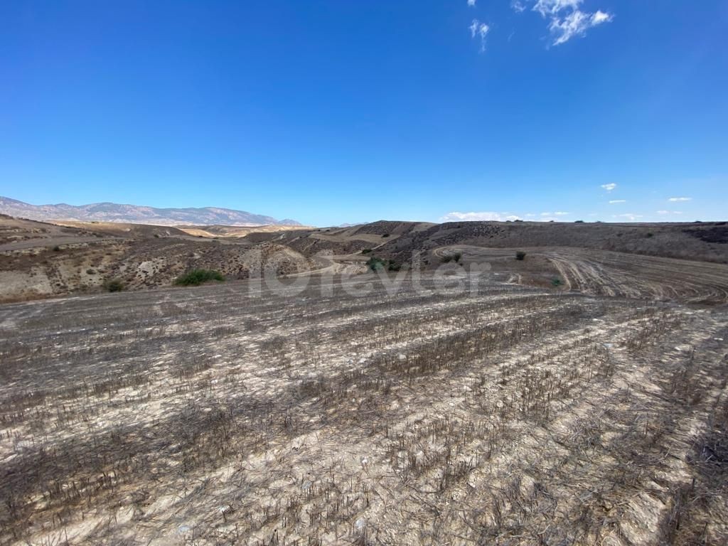 A Field for Sale in Yılmazköy ** 