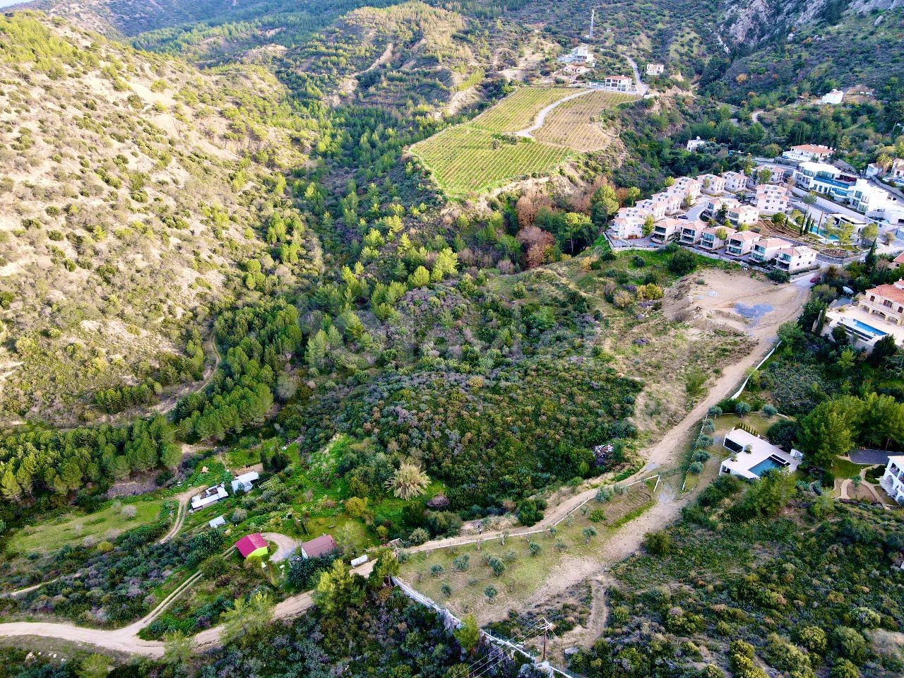 زمین برای فروش در GIRNE ILGAZ