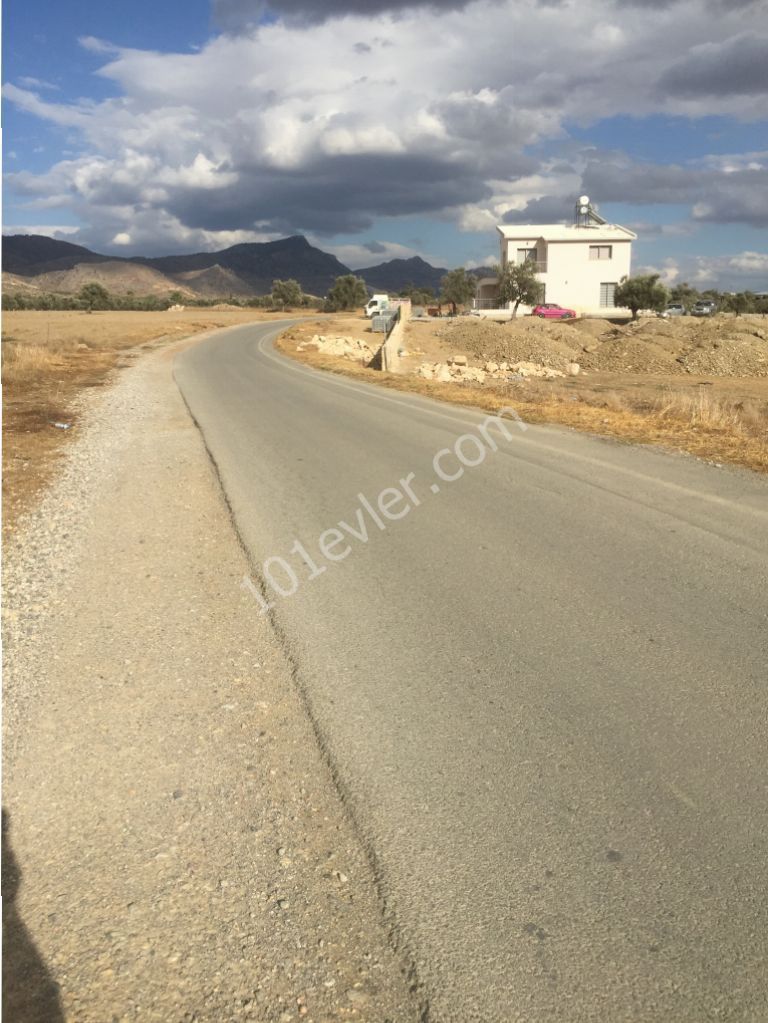 Field For Sale in Dikmen, Kyrenia