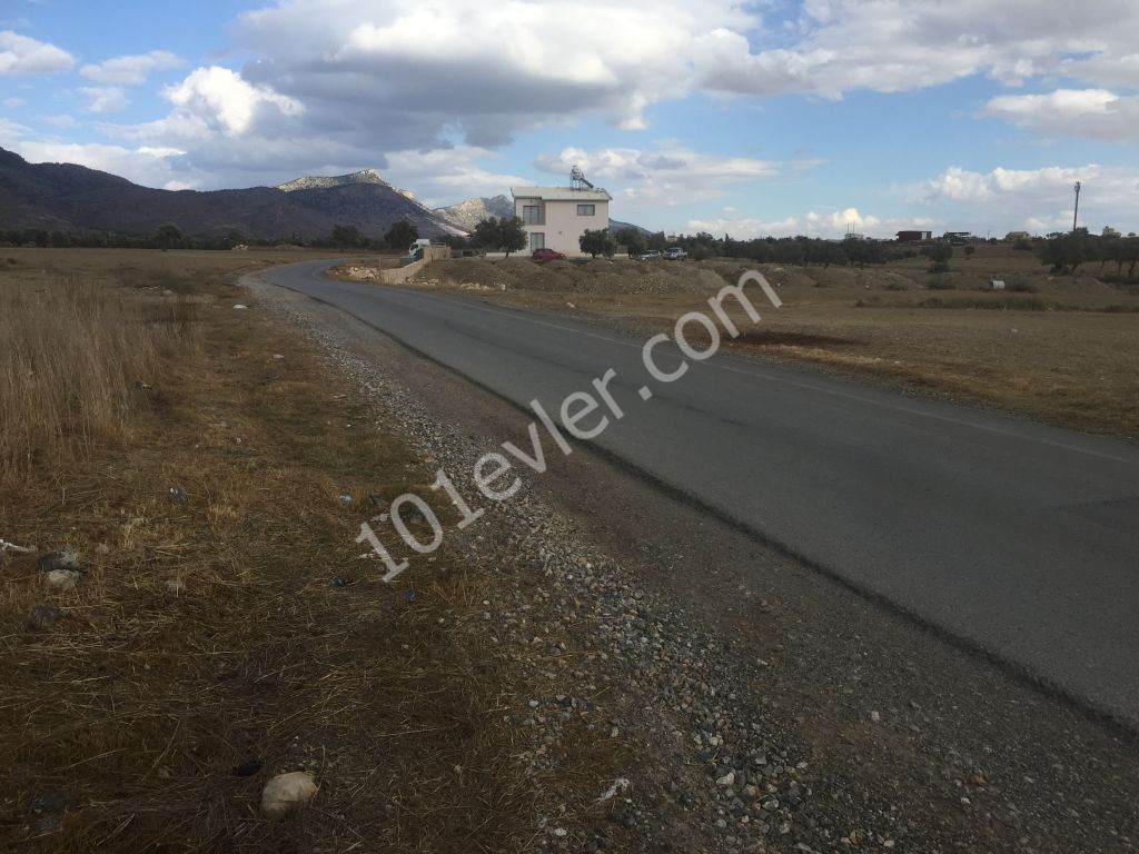 Field For Sale in Dikmen, Kyrenia