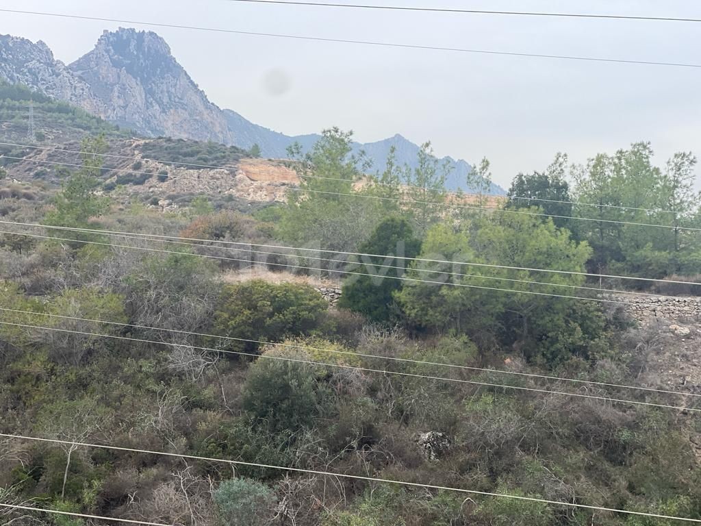 Sonsuz Konfor ve Lüks: Ciklos'ta 4+1 Villa, Ortak Havuz - Kaçırılmayacak Fırsat! £1.500 / ay