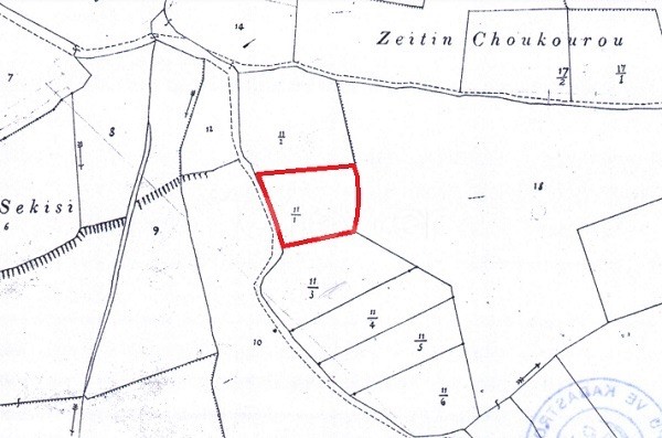 Girne/Pınarbaşı'nda 2427 m2 Satılık Arsa