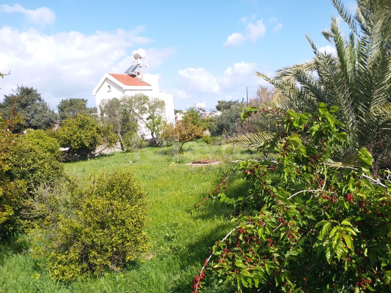 Girne/Lapta’da Eziç Restorant Bölgesinde 2 dönüm içinde Satılık Villa