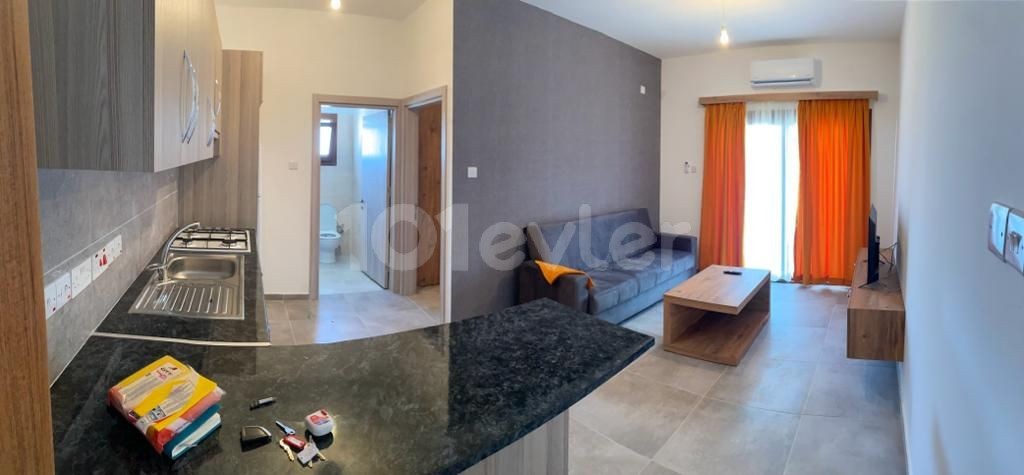 1+1 APARTMENTS FOR SALE IN KARAOGLANOGLU