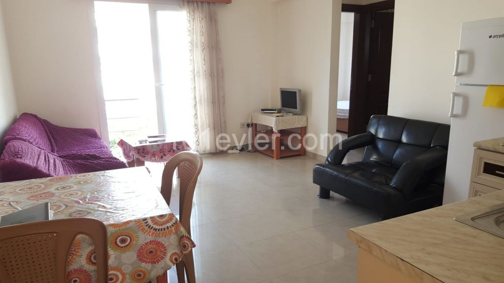 2 Bedroom Aparment For Rent