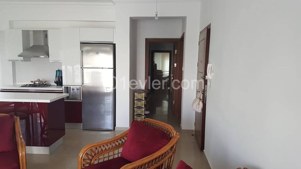 3 Bedroom Apartment For Rent