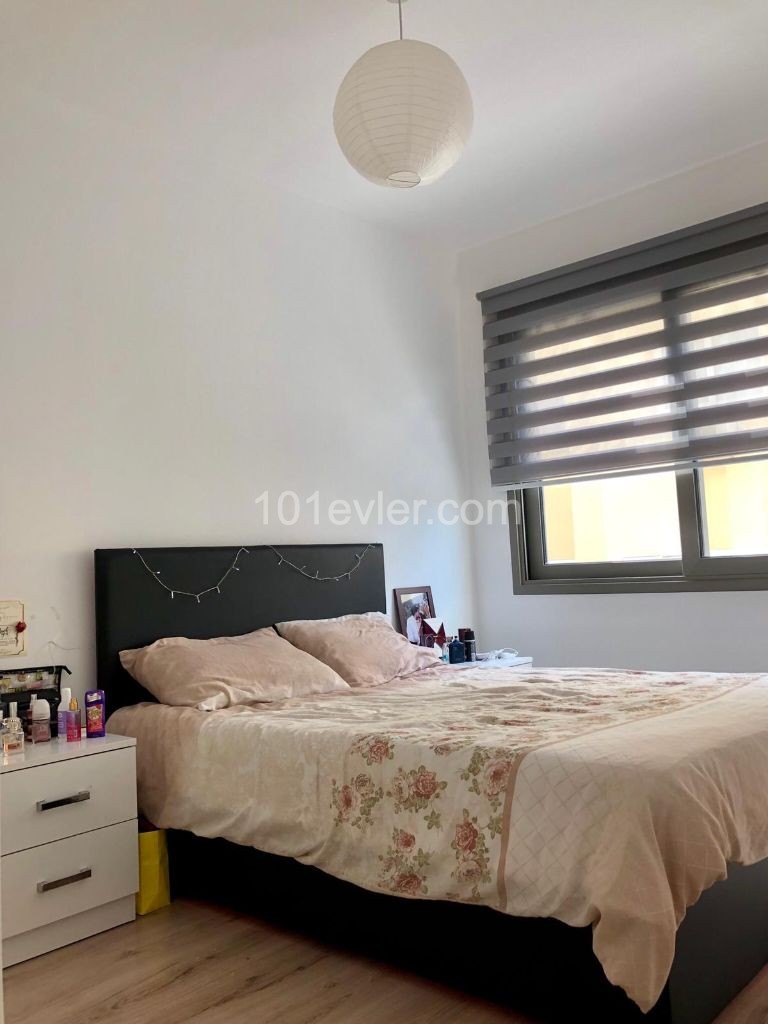 1 Yatak Odalı Kiralık Daire