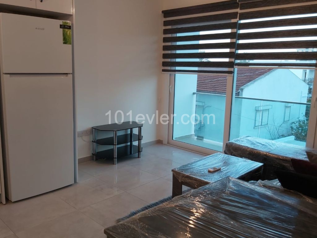 1 Yatak Odalı Kiralık Daire