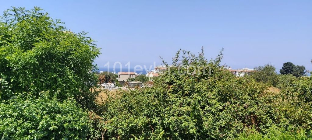 Flat To Rent in Alsancak, Kyrenia