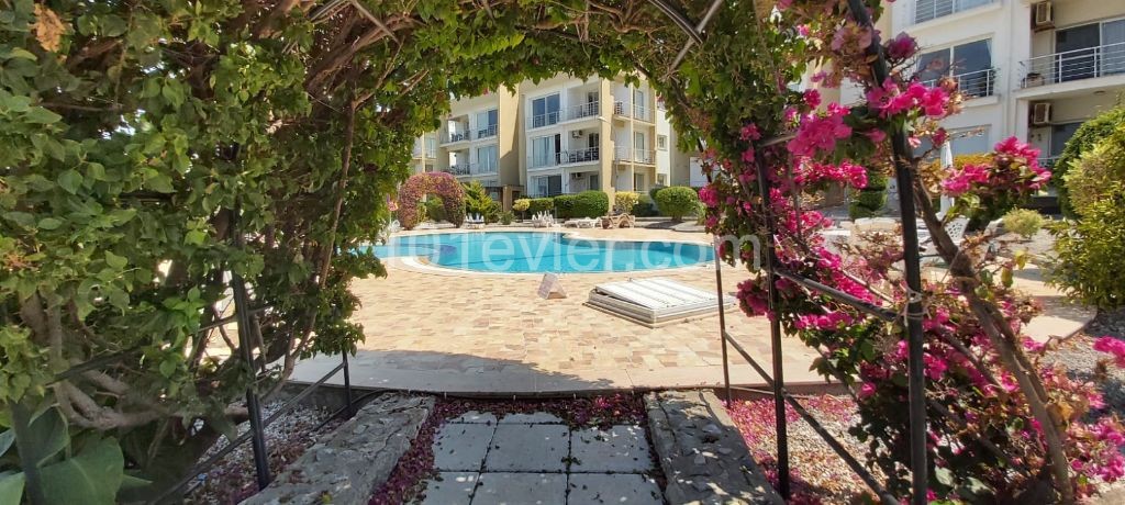 Flat To Rent in Alsancak, Kyrenia