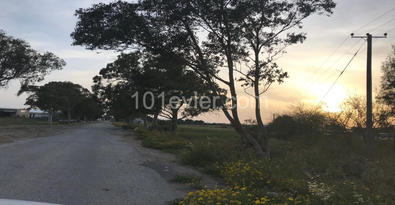 4,338,8 m2 Land for Sale on the Nicosia - Famagusta Main Road ** 