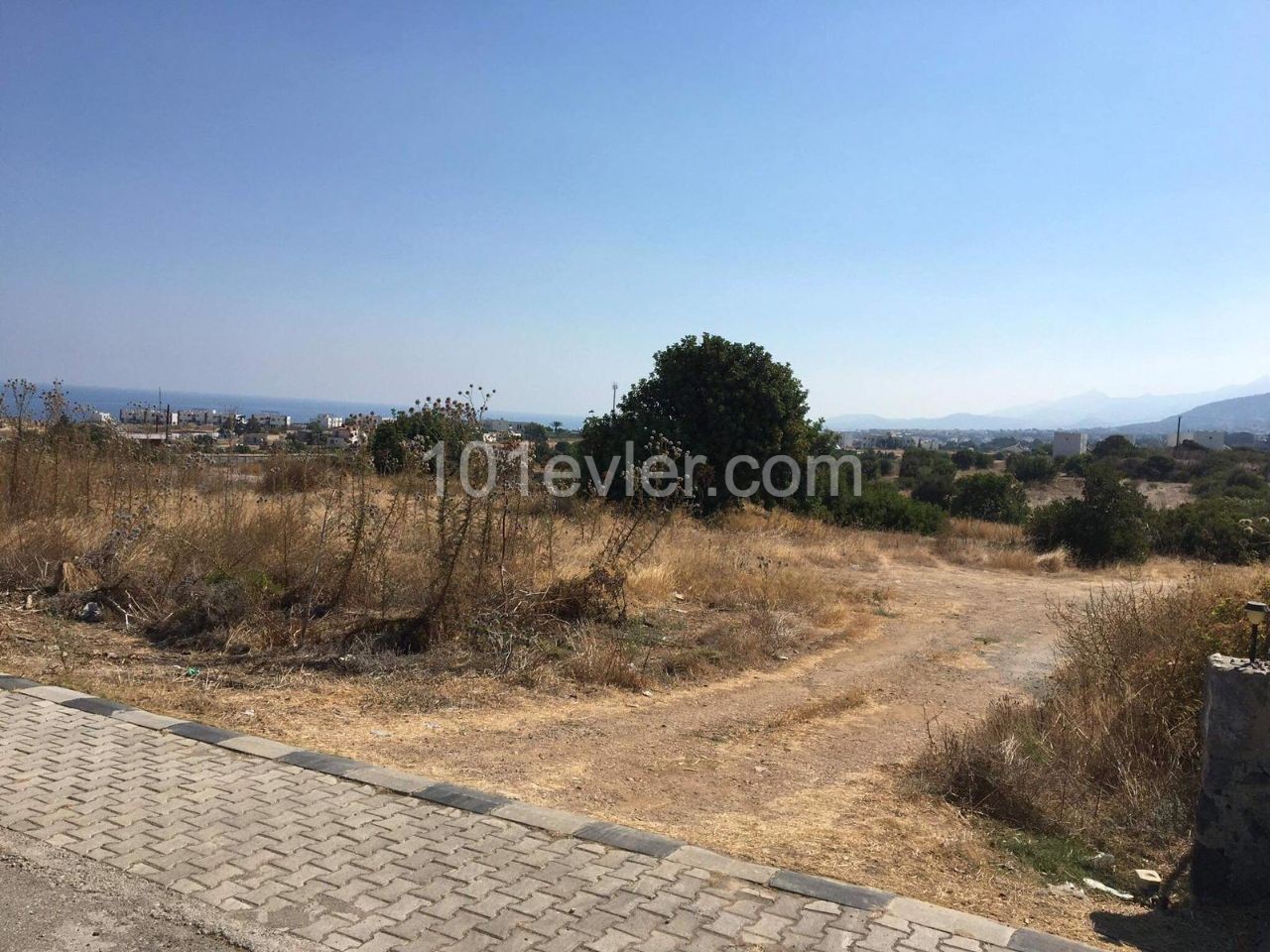 4,5 DECEMBER FIELD CLOSE TO THE ROAD IN GIRNE BAHÇELİ ** 