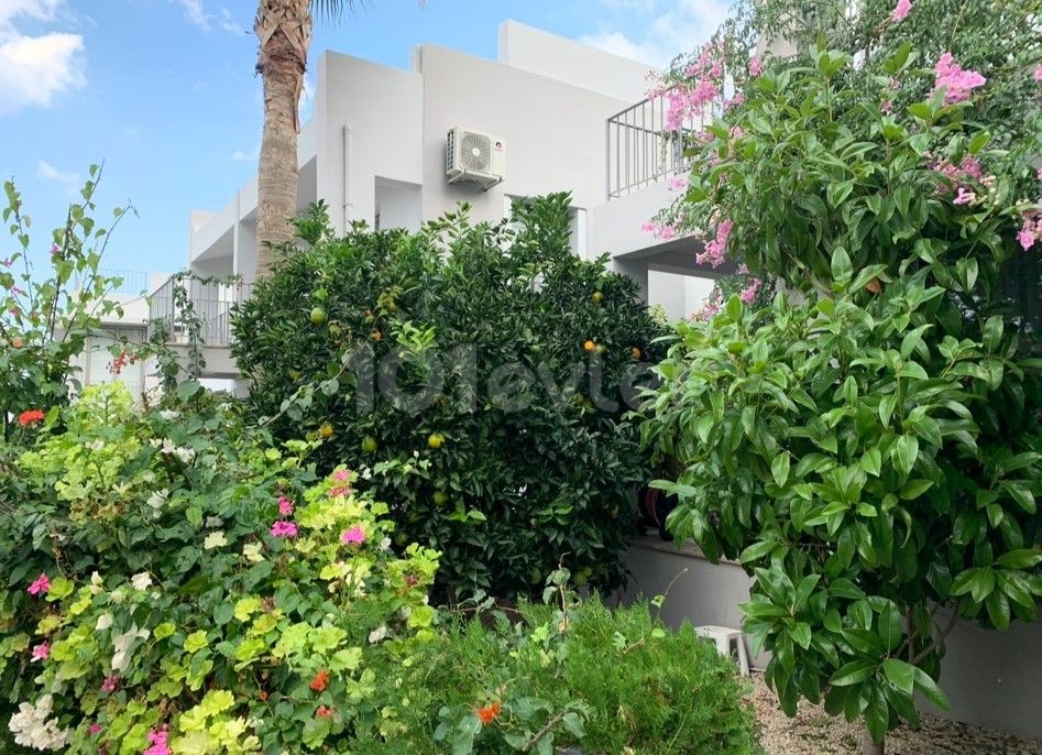 3+1 DETACHED FOR SALE IN ALSANCAK MİLOS PARK COMPLEX