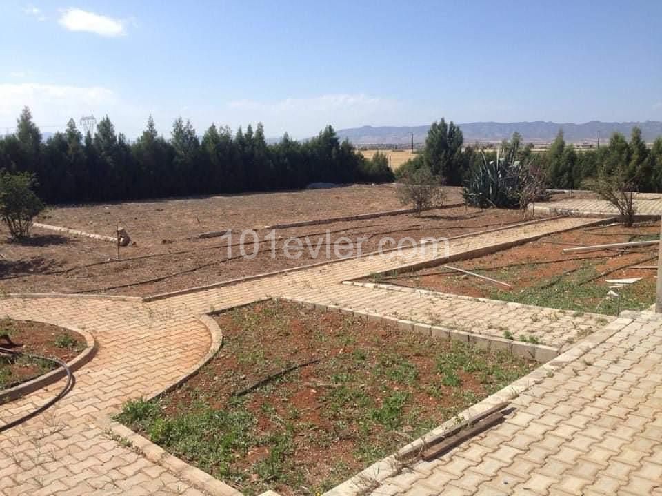 Villa for sale near Iskelese Cesar resort. Equivalent cob in a 2 decare plot