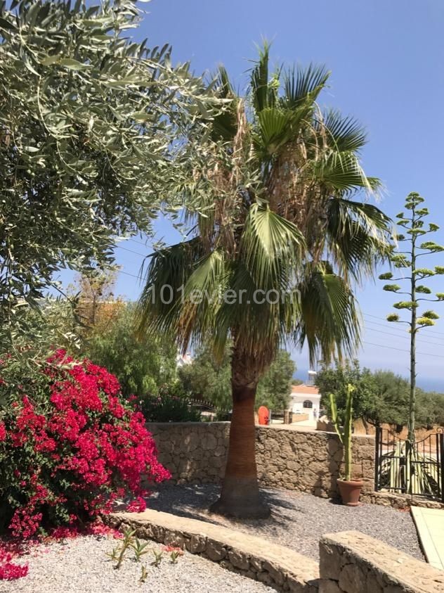 Villa for sale in the mountain town of Chatalkoy From Girne (Kyrenia) 15 minutes by car.