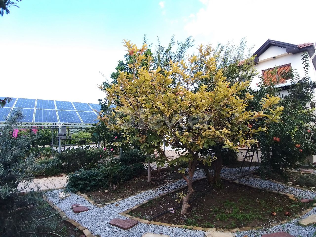 3+1 Villa for SALE in Alsancak Camelot Region, Walking distance to the Sea