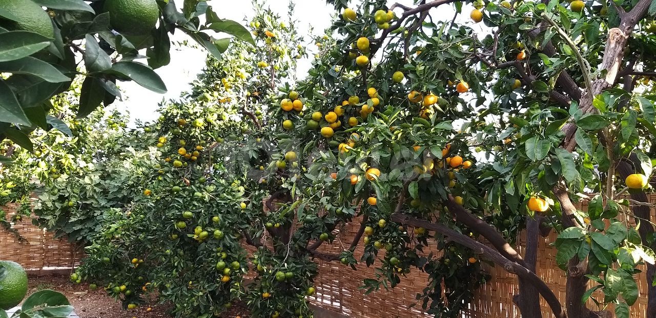 Komplett möblierte Tagesmietvilla mit Berg- und Meerblick in Alsancak – Region Yeşiltepe