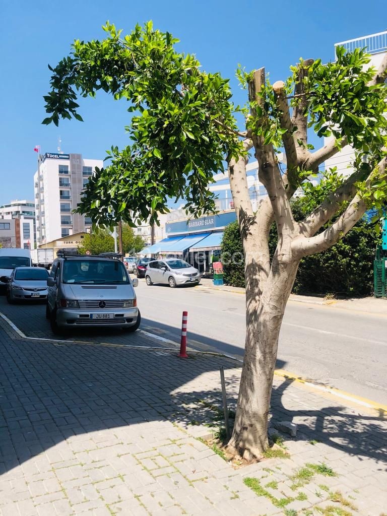 تخت برای اجاره in Girne Merkez, گیرنه