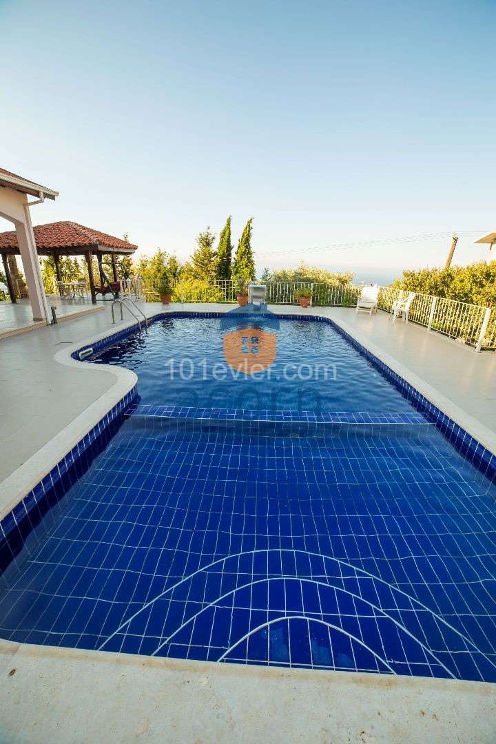 Outstanding Opportunity In Karmi 2 Homes, 2 Pools And 2 Titles On 2.5 Donum Land