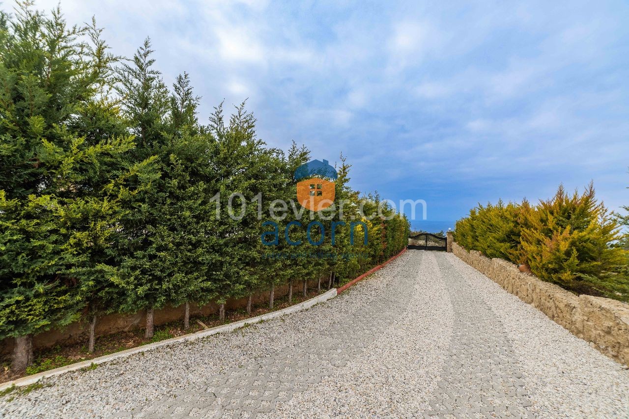 Ruhe und Frieden im Wald mit Blick auf das Meer und die Berge ** 