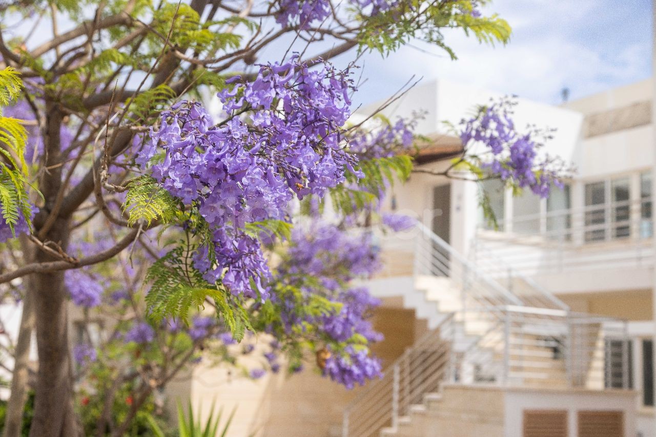 Perfekt präsentiertes Penthouse mit 2 Schlafzimmern und privater Dachterrasse in Esentepe