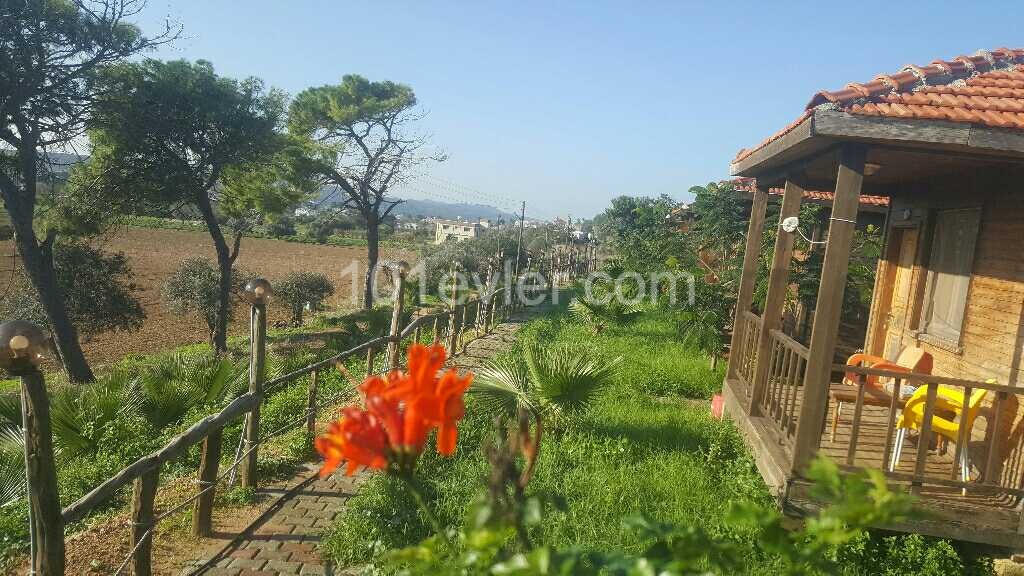 KARPAZ FARM GUEST HOUSE ** 