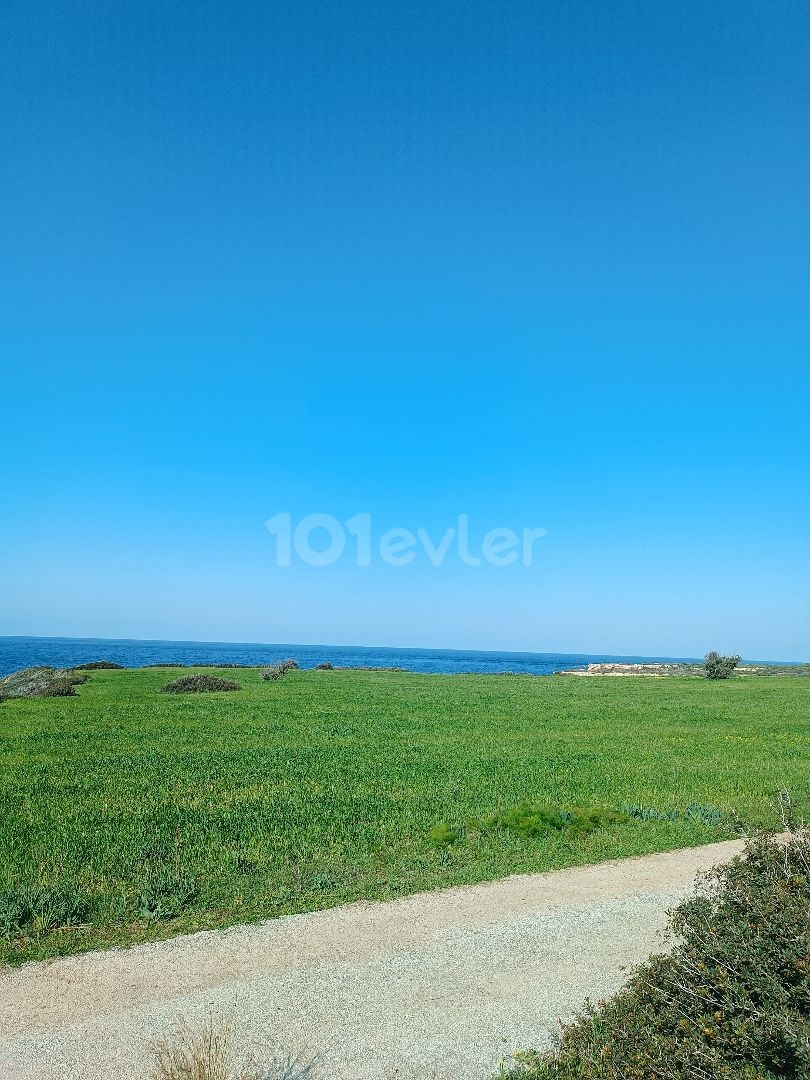 50 MT Entfernung zum Meer zoniert 51. 000 gbp 1 dnm ** 