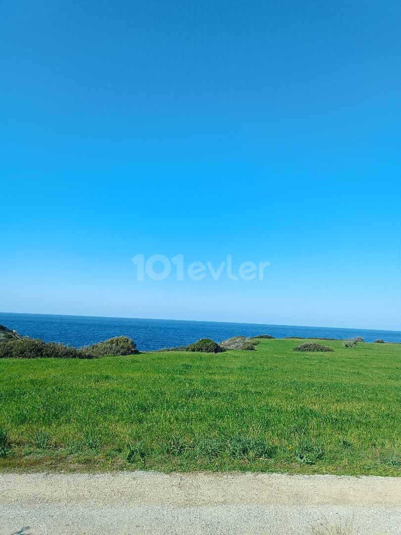 50 MT Entfernung zum Meer zoniert 51. 000 gbp 1 dnm ** 