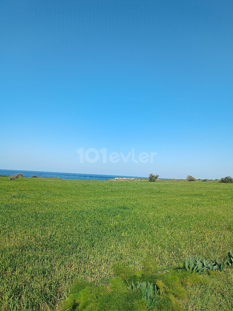 50 MT distance to the sea zoned 51. 000 gbp 1 dnm ** 