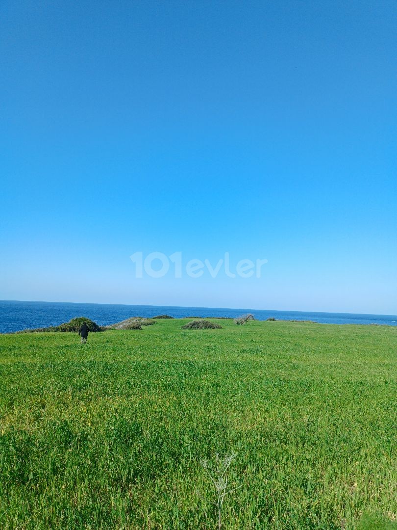 50 MT Entfernung zum Meer zoniert 51. 000 gbp 1 dnm ** 