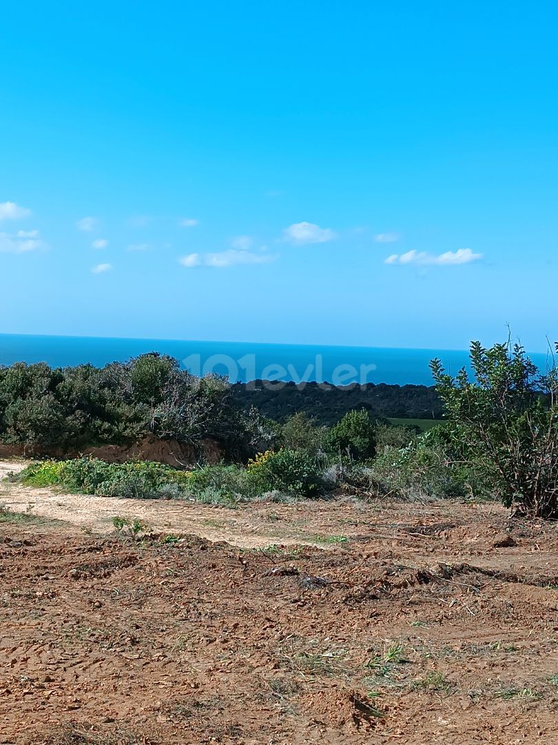 Dipkarpaz 5 dnm sea view 31500 gbp total