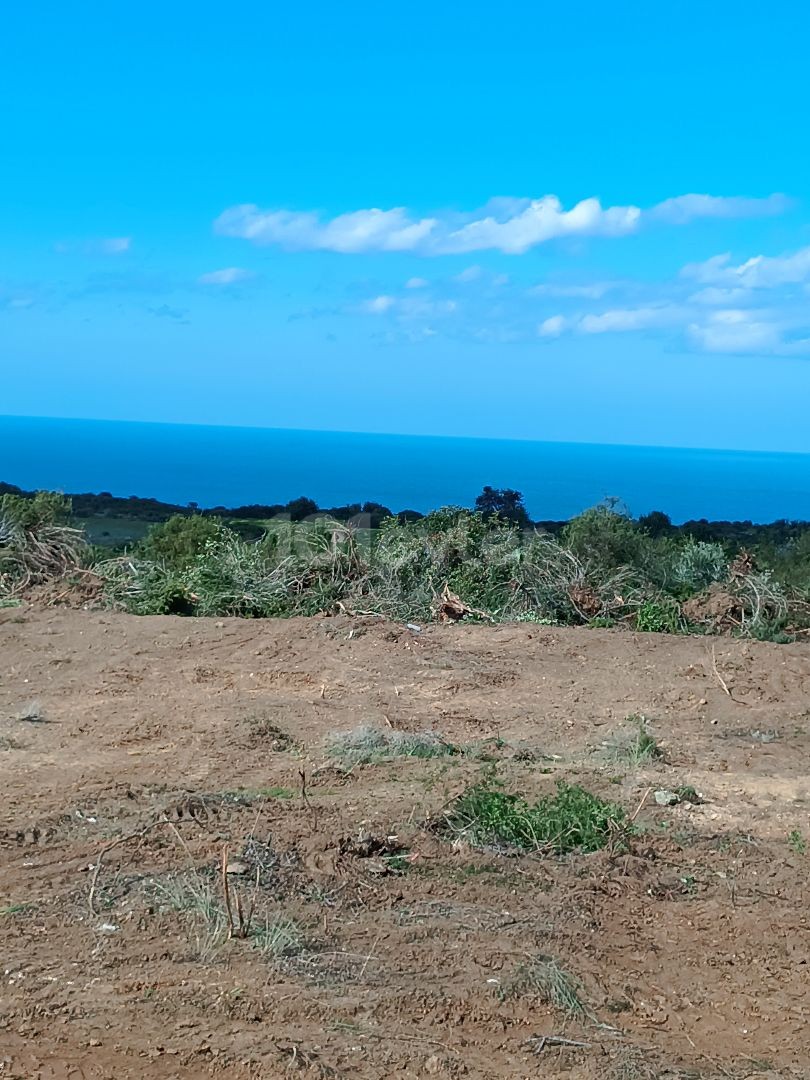 Dipkarpaz 5 dnm sea view 31500 gbp total