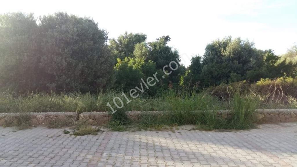 Studio long term rent in the end of lapta /begining Karşıyaka 