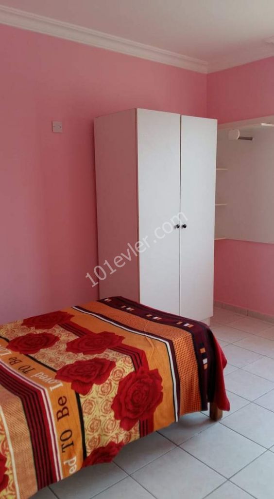 Studio long term rent in the end of lapta /begining Karşıyaka 